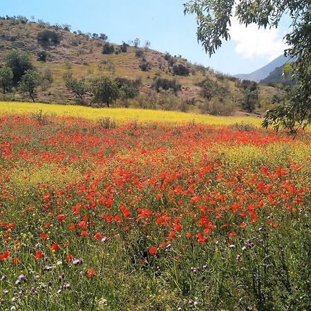 Magina Dream La Guardia Turismo Rural La Guardia de Jaén Екстериор снимка